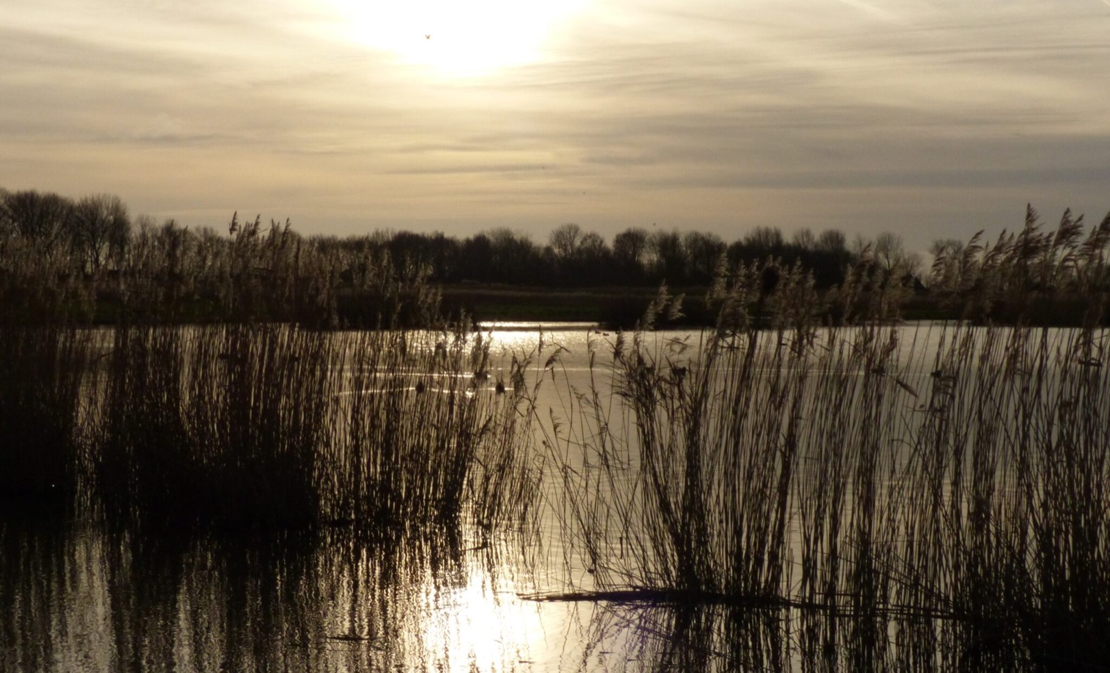 Geestmerambacht, Dijk en Waard, regio 072