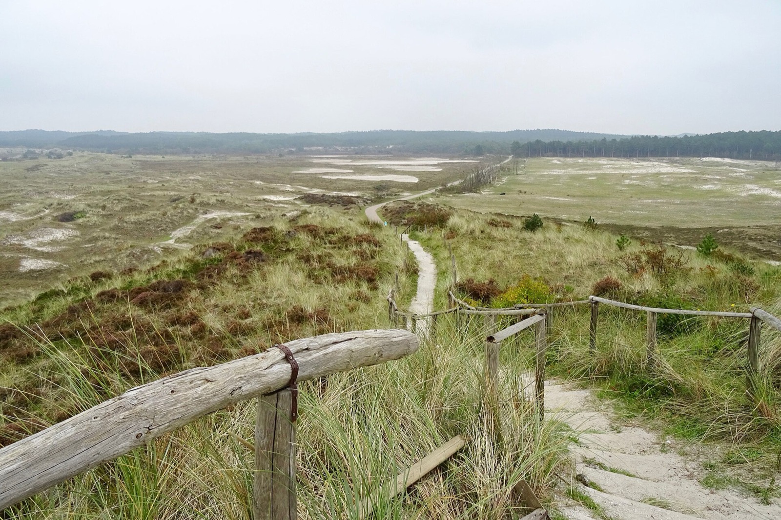 Schoorlse Duinen, Bergen, regio 072