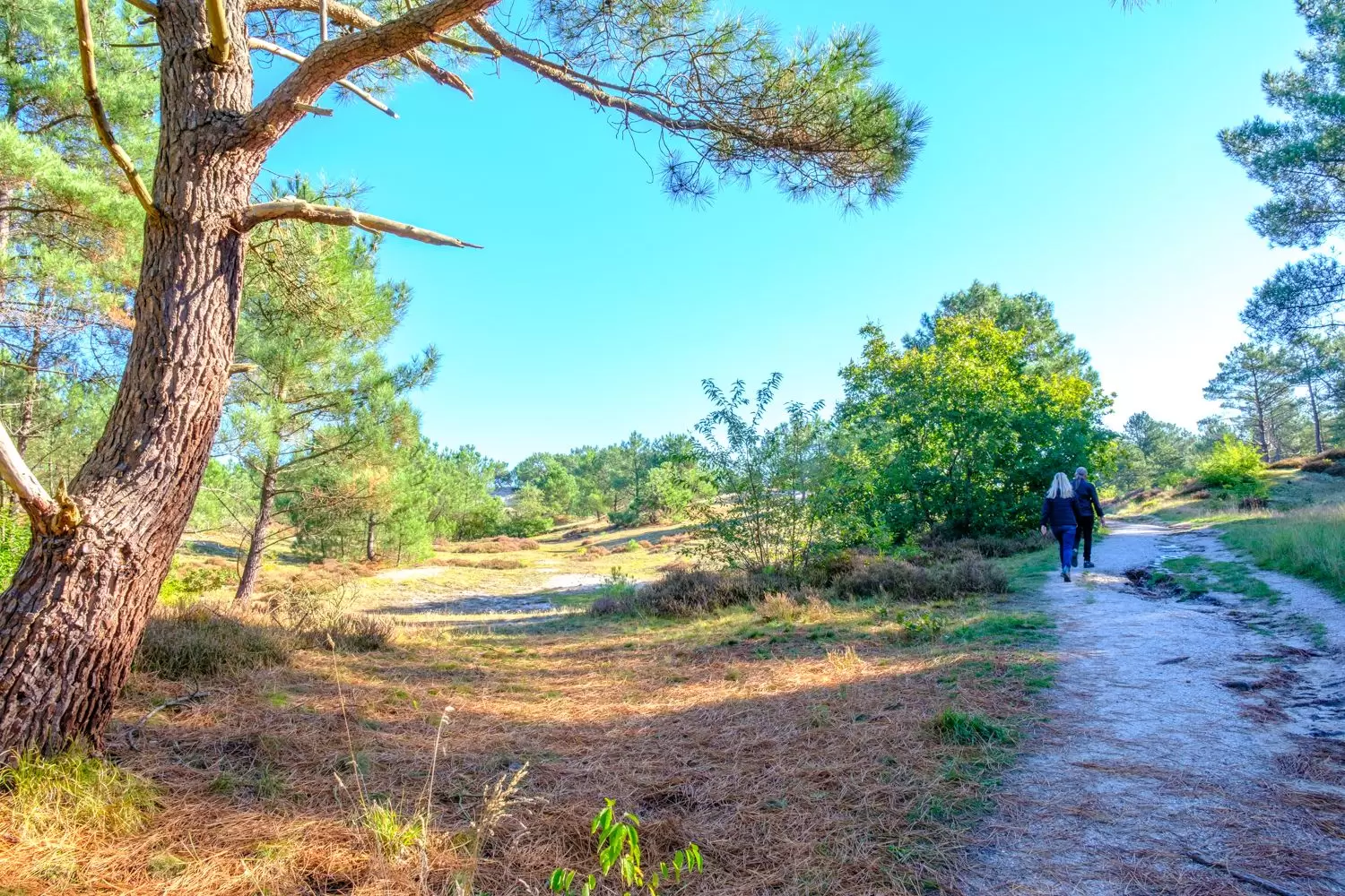 Groet, Bergen (NH), regio netnummer 072